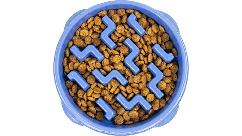dog puzzle maze bowl