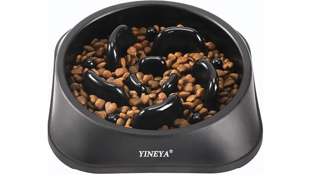 slow feeding pet bowl