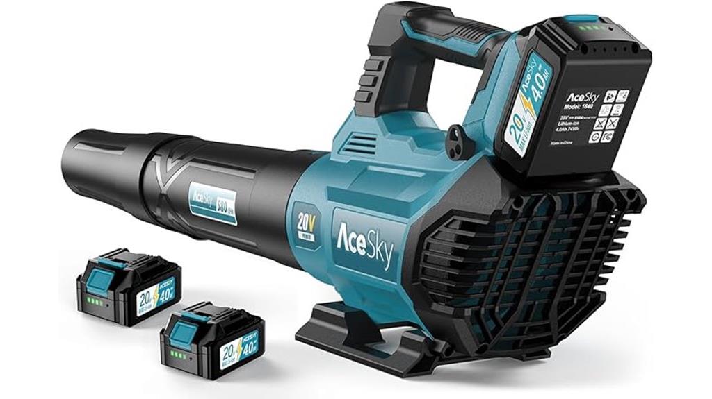 wireless blower with charger
