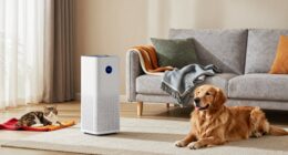 pet friendly air purifier options
